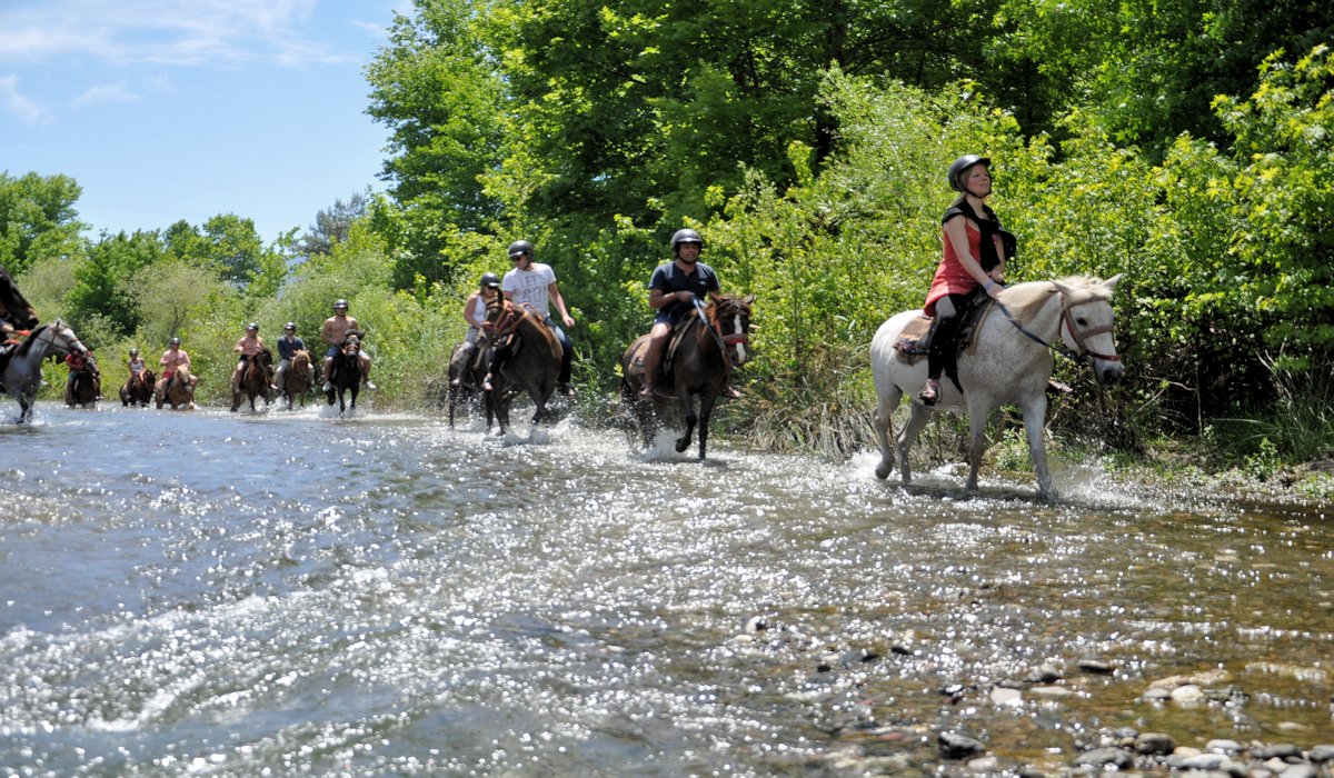 Bodrum Horse Safari
